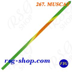 Band Chacott 5/6m Gradation col. Muscat FIG Art. 98267